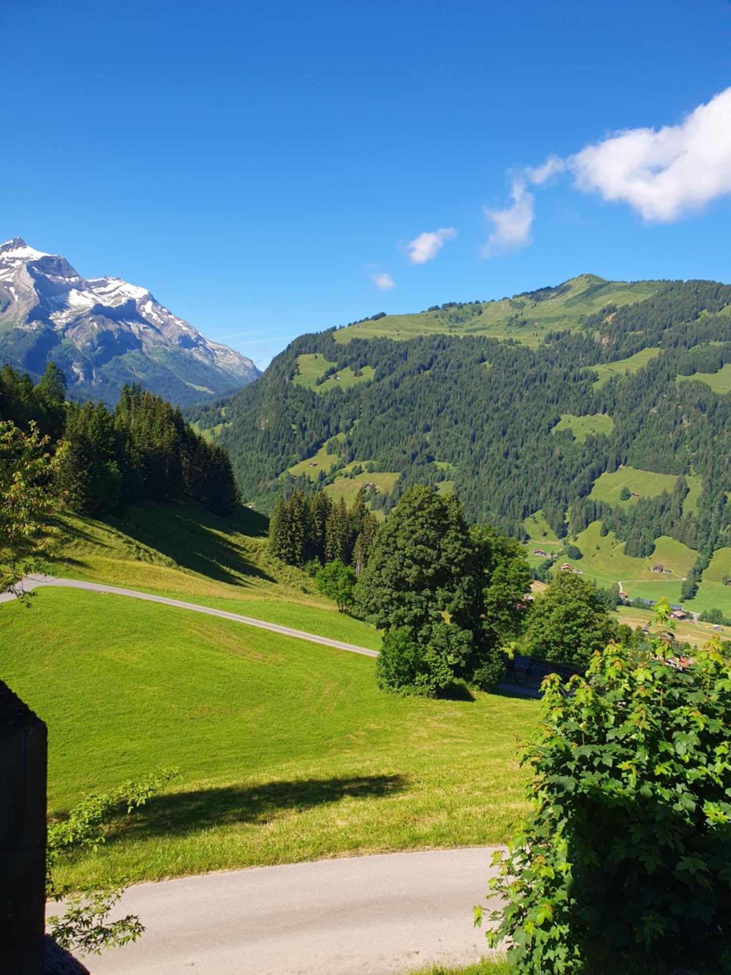 Gschwend अपार्टमेंट Gsteig
